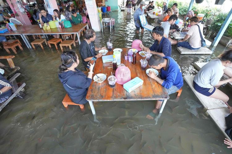 A flooded restaurant in Thailand brings delight with swimming fish among diners