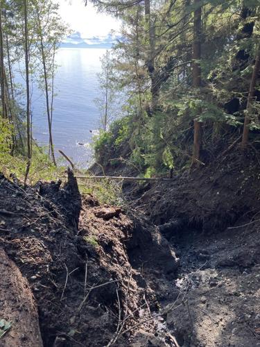Hikers scramble for alternatives after damage shuts B.C.'s popular Juan de Fuca Trail
