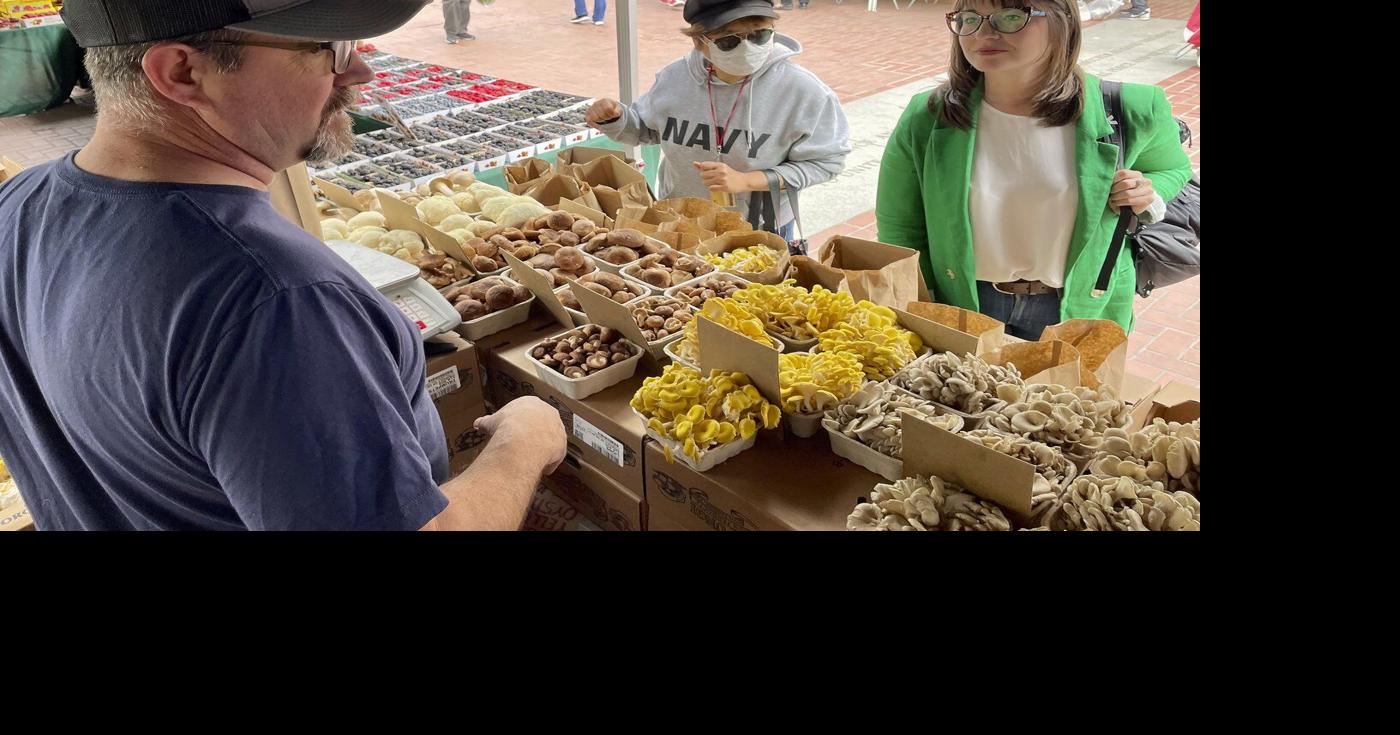 Canadian fresh mushrooms the latest target of U.S. trade ire – thecanadianpressnews.ca  www.thecanadianpressnews.ca