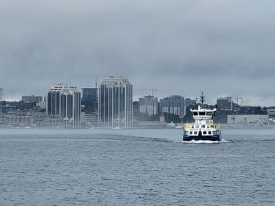 Nova Scotia's strong population growth has tapered off for the first time since 2020