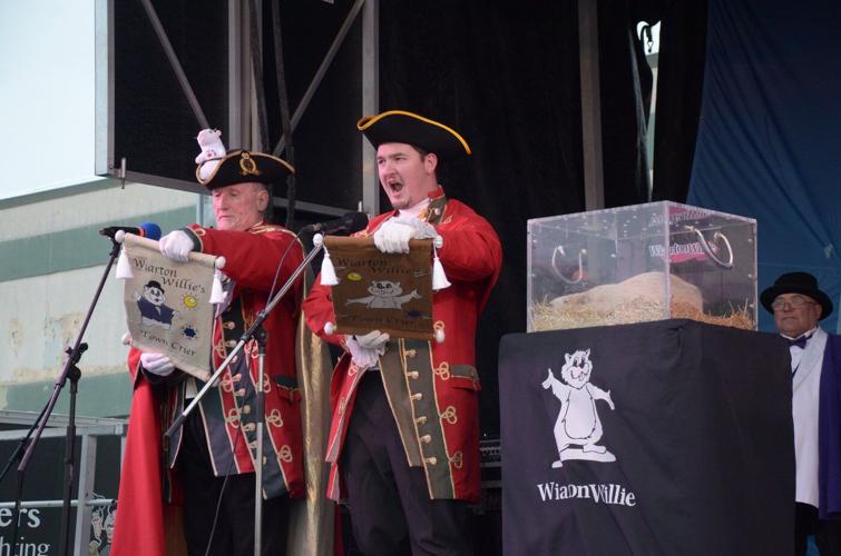 Photo Gallery: Canada's groundhogs predict an early spring