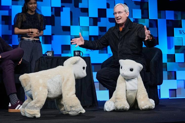 Roomba pioneer aims to crack the household market again with an AI-powered pet robot
