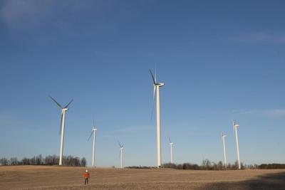 Quebec introducing new rule to reduce bat deaths linked to wind farms