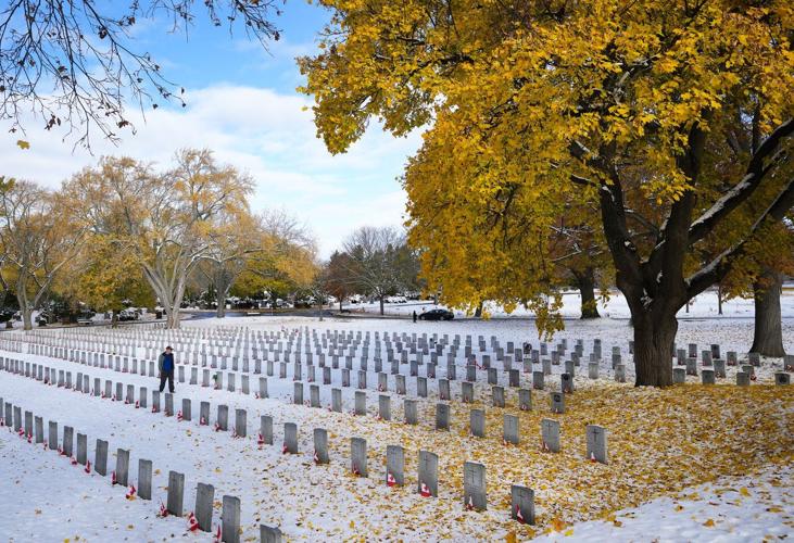 Remembrance Day ceremonies in Toronto honour sacrifices made for freedom