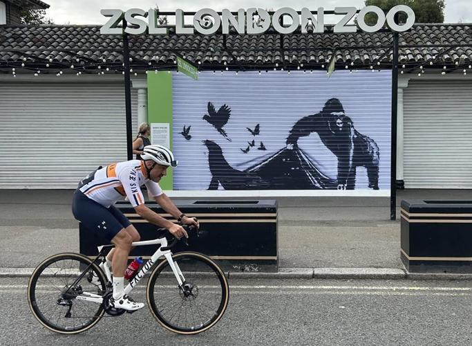 'Banksy woz ere.' London Zoo is the latest to remove street artist's animal mural for protection