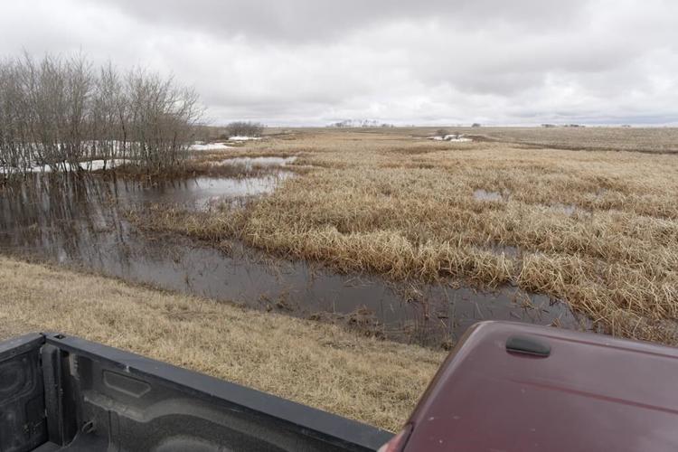 Saskatchewan environmental groups concerned over provincial drainage plan