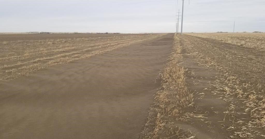 Alberta farmers face growing risk of soil erosion events as drought ...