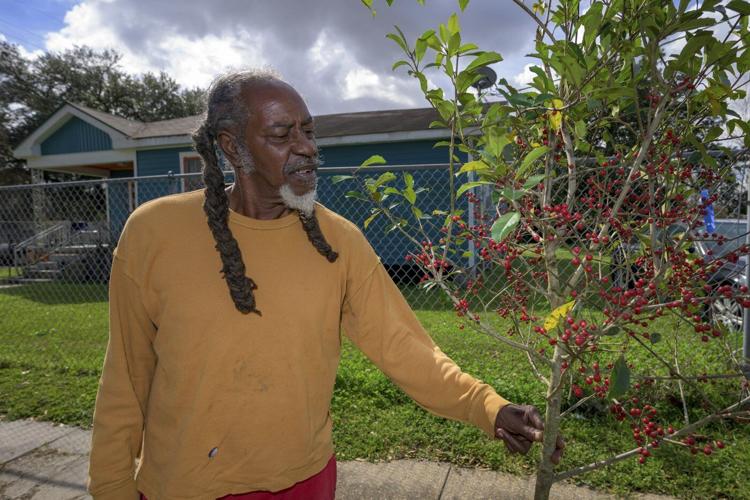 $75 million was awarded to plant trees in places that badly need them. In anti-DEI push, that's over