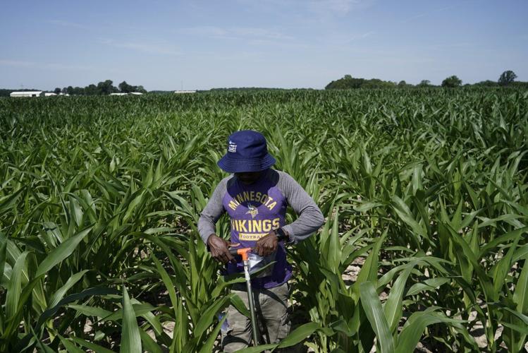 Scientists shielding farming from climate change need more public funding. But they're getting less