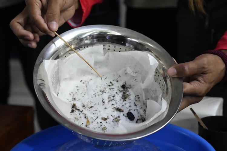 Philippine village battles dengue by offering bounties for mosquitos - dead or alive