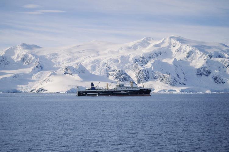 Krill fishery in Antarctica shut down after record catch triggers unprecedented early closure