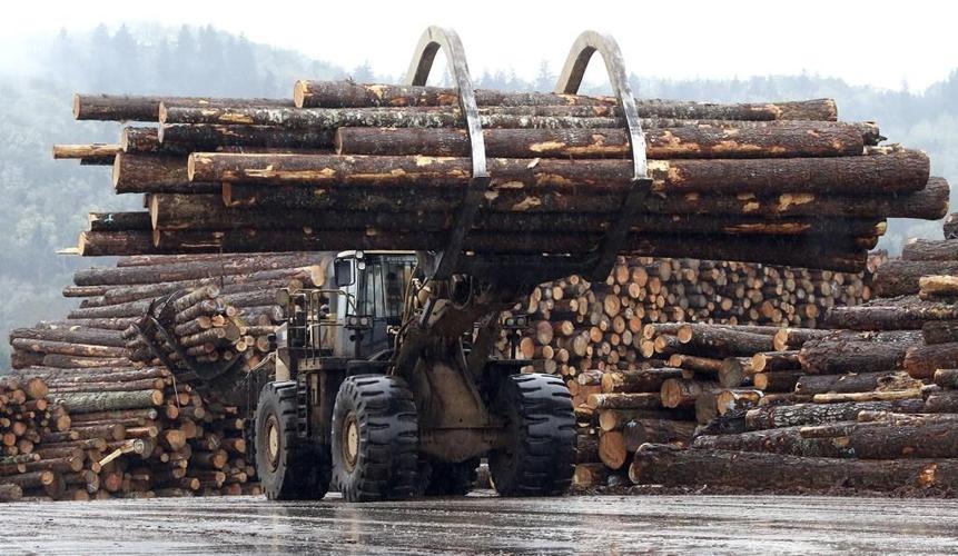 Oregon pins hopes on mass timber to boost housing, jobs