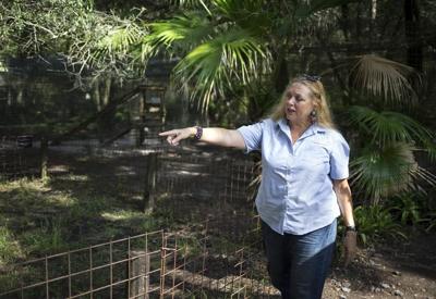 Owners of big cat refuge from 'Tiger King' selling property