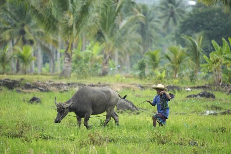 Philippines' Mayon Volcano spews lava down its slopes in gentle eruption putting thousands on alert