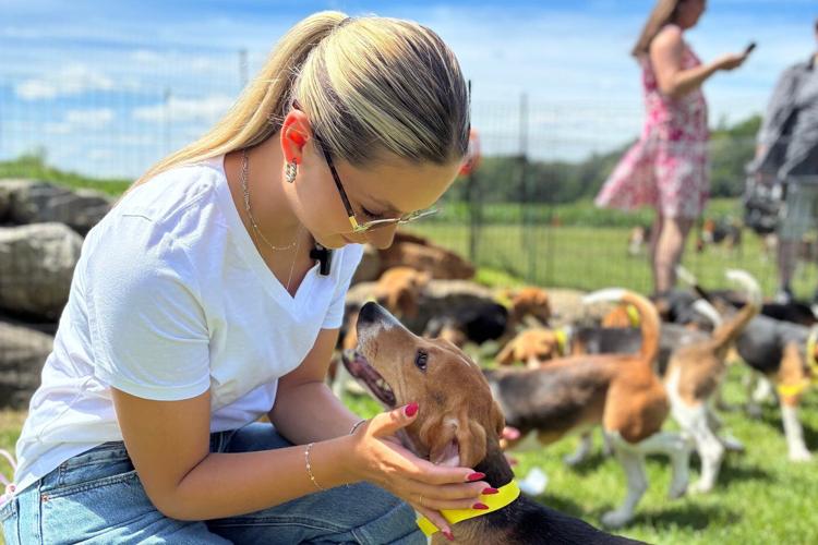 Wisconsin beagle research facility that drew protests is closing as rescue group takes in dogs