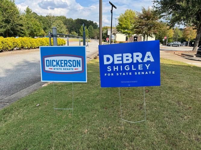 Georgia runoff to decide state senator in a deep-red district where a Democrat made gains