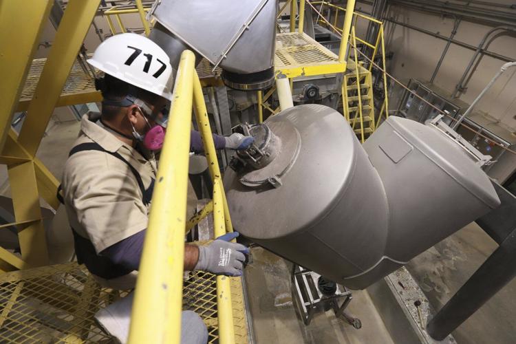 The US plans to begin breeding billions of flies to fight a pest. Here is how it will work