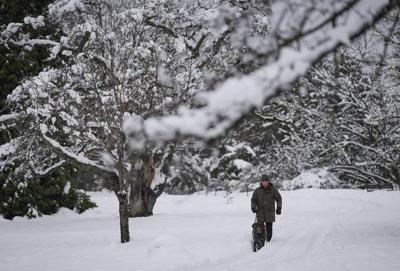 Weather system may bring snow to parts of Metro Vancouver, gusts to north B.C. coast