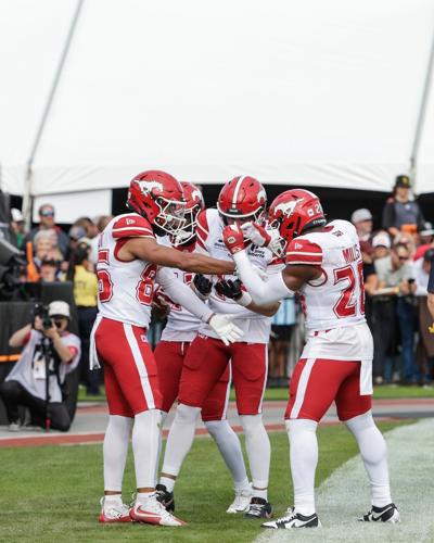 Stampeders ruin winless Lions' party at Apple Bowl with 41-33 win