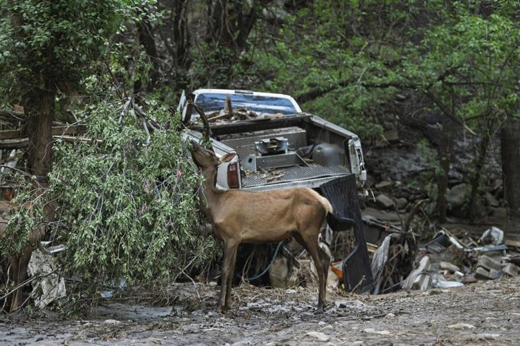 Flash flooding that killed 3 leaves New Mexico village heartbroken, anxious as cleanup begins