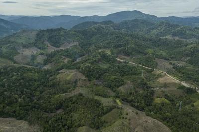 Slight progress in global biodiversity protection efforts but some species decline, new reports find