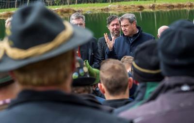 Bavaria to make it easier to shoot wolves in Alpine region