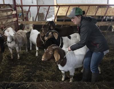 Les fermes deviennent inabordables pour les jeunes producteurs