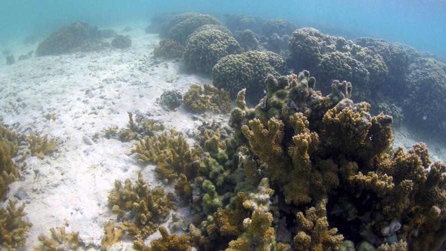 Honolulu's lawsuit against fossil fuel companies leads climate change legal fight