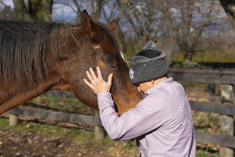 How horses helped champion jockey Eurico Rosa da Silva heal and help others