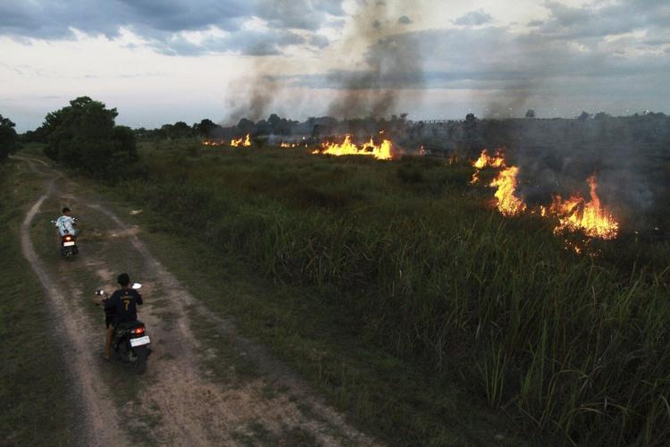 Indonesian police arrest 44 people suspected of starting forest fires