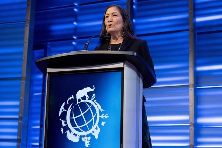 US to focus bison restoration on expanding tribal herds