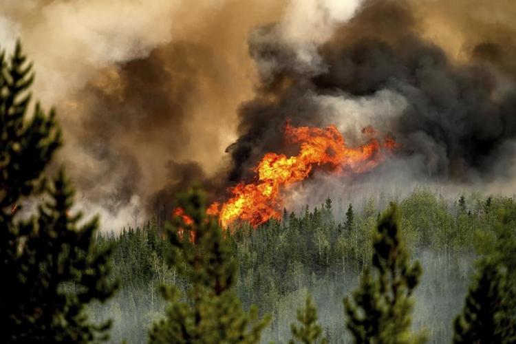 Properties destroyed as latest B.C. wildfire flares, forcing urgent evacuations
