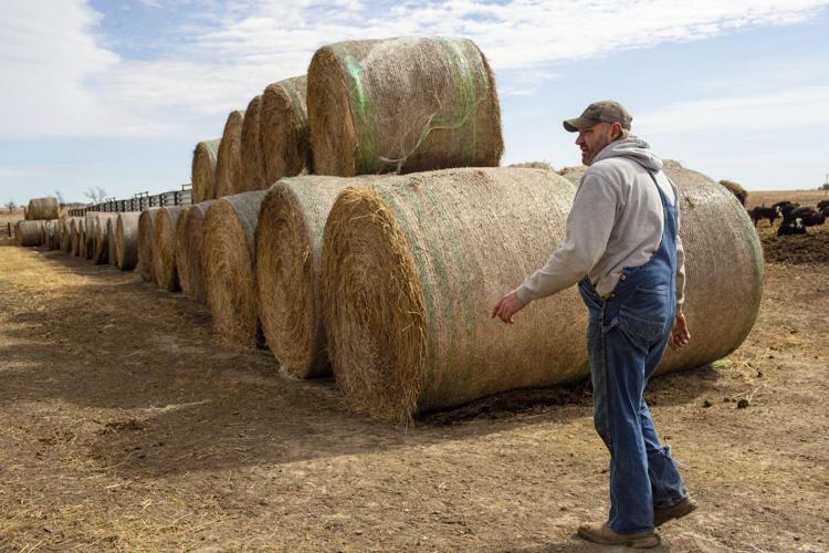 A pipeline company filed hundreds of lawsuits against landowners. Now its project is threatened