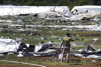 Oregon to crack down on illegal pot growers by holding landowners responsible