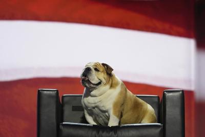 West Virginia governor's bulldog gets her own bobblehead after GOP convention appearance