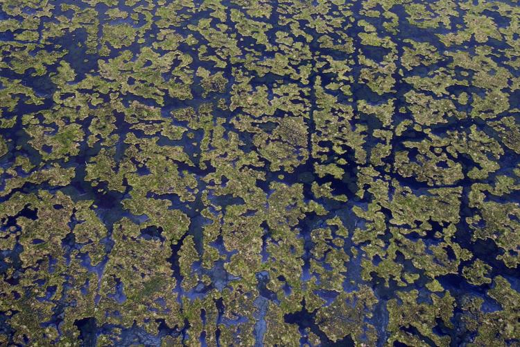 Chevron ordered to pay more than $740 million to restore Louisiana coast in landmark trial