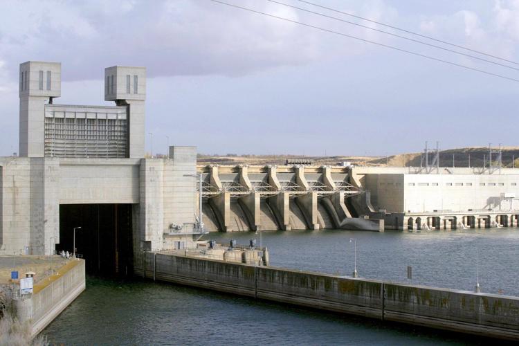 Judge orders changes to Columbia and Snake river dam operations to help 'disappearing' salmon