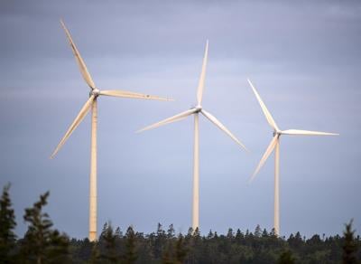 Donald Trump's disdain for wind energy could create windfall for Nova Scotia: experts