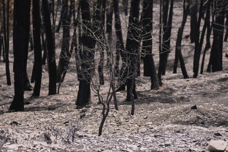 Firefighters in central Spain battle huge wildfire during heat wave