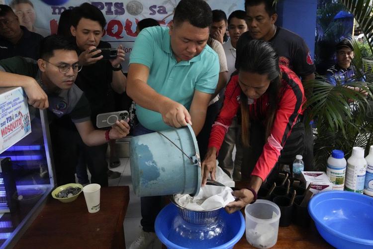 Philippine village battles dengue by offering bounties for mosquitos - dead or alive
