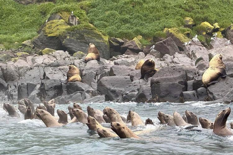 Russia's Far East 'land of fire and ice' avoids major damage from earthquake and tsunami
