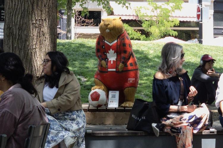 Beaver sculptures welcome tourists in downtown Toronto ahead of World Cup