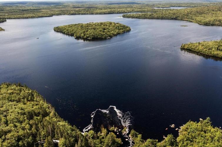 New N.S. wilderness area includes old-growth forest, lakes and animal habitat