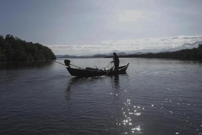 Rio de Janeiro bay reforestation shows mangroves' power to mitigate climate disasters