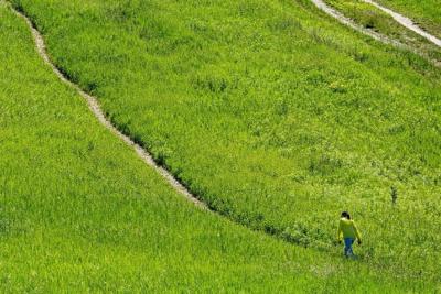 Ontario proposes to cut Greenbelt land for homes, add land elsewhere
