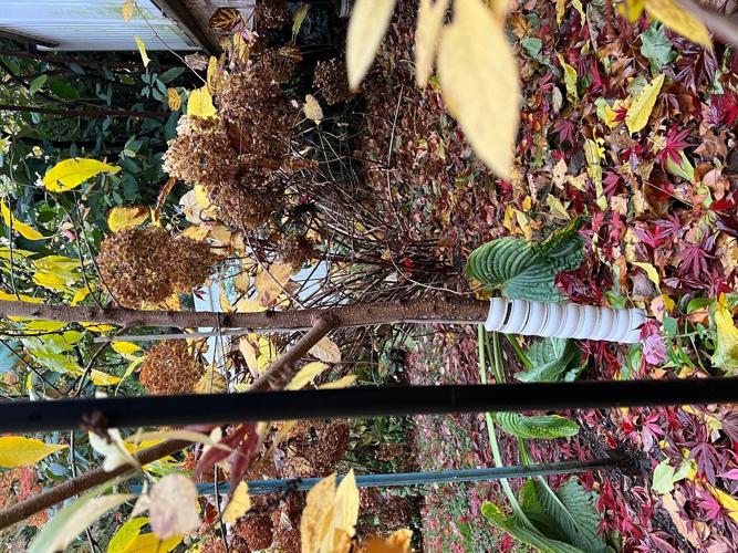 Doing these fall garden chores will make your spring easier