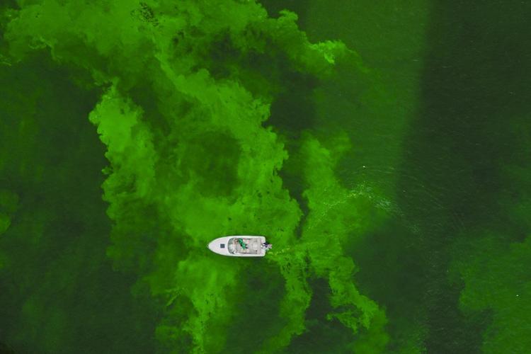 Chicago dyes its river bright green as it opens St. Patrick's Day celebrations
