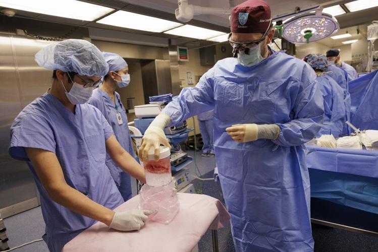 New Hampshire man is 2nd person known to be living with a pig kidney