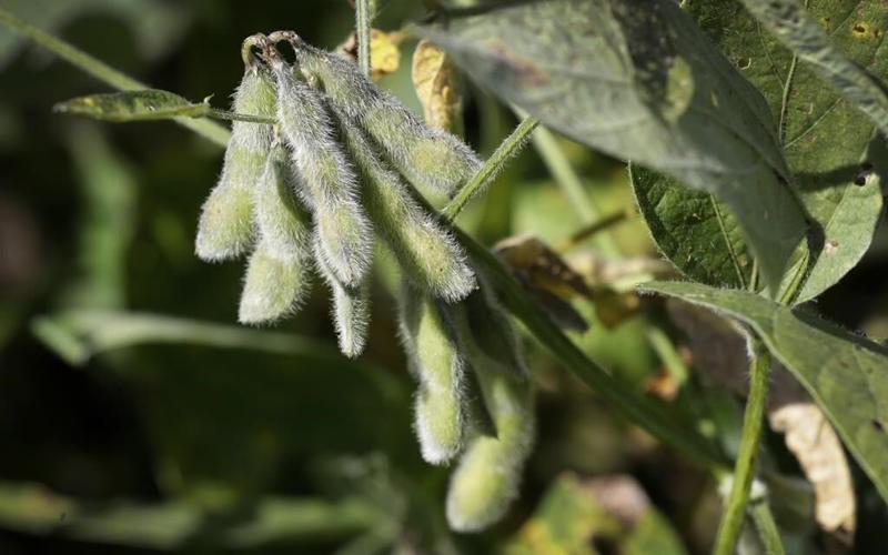 Weedkiller manufacturer seeks lawmakers' help to squelch claims it failed to warn about cancer