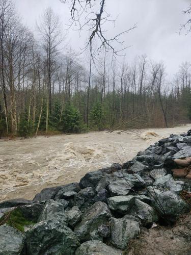 Residents in B.C.'s Fraser Valley 'more hopeful' of escaping flooding after rains